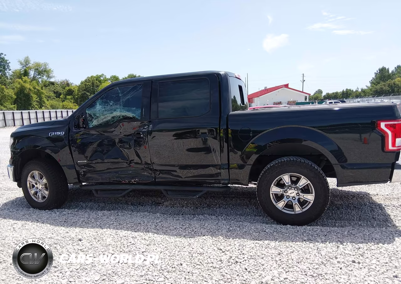 2016 Ford F-150 Xlt VIN:1FTEW1CGXGFA50009 - 13