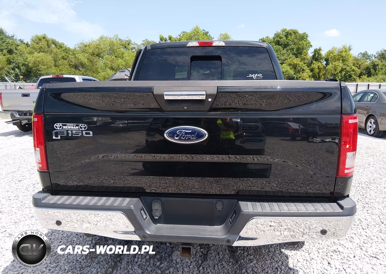 2016 Ford F-150 Xlt VIN:1FTEW1CGXGFA50009 - 15