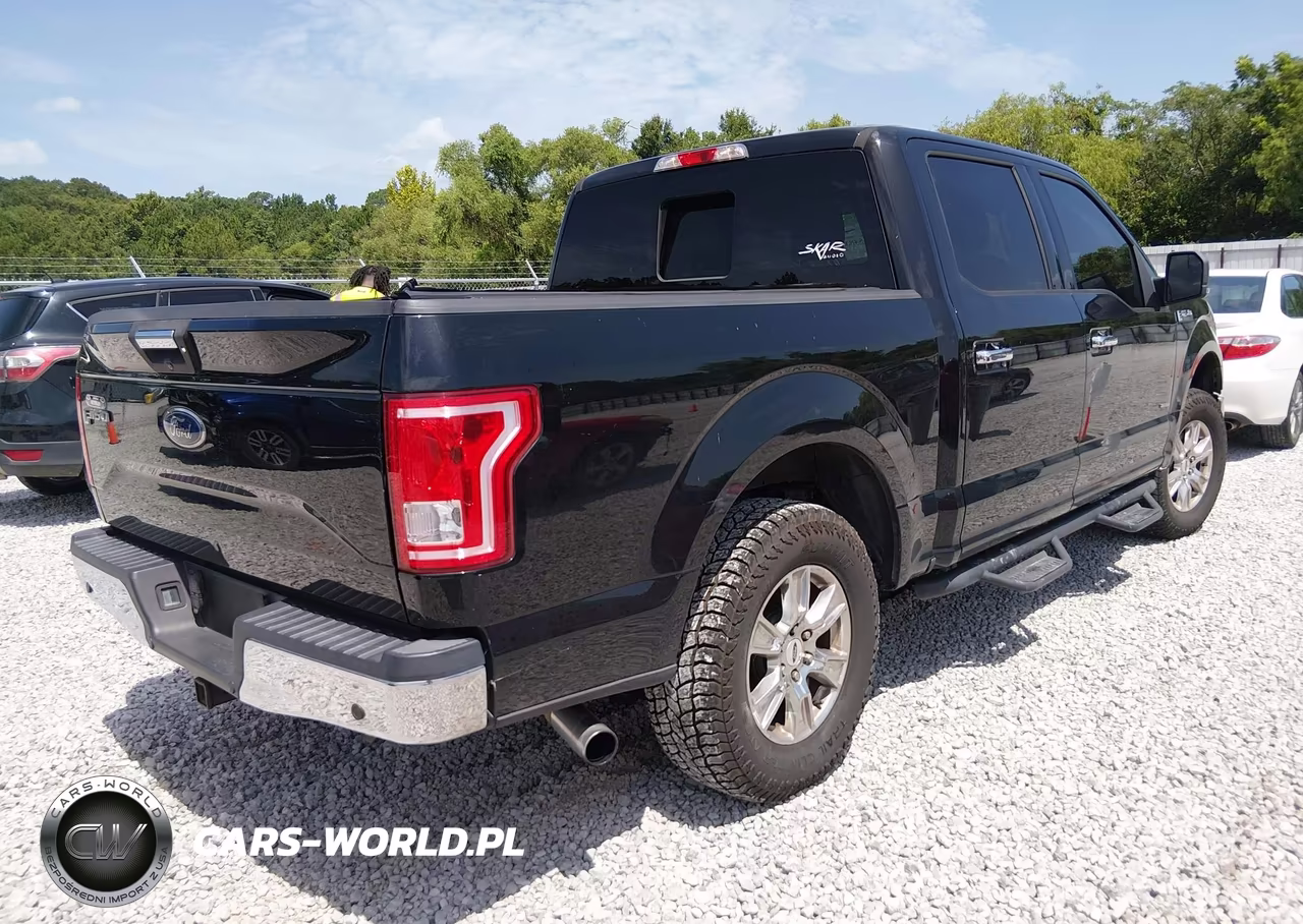 2016 Ford F-150 Xlt VIN:1FTEW1CGXGFA50009 - 4