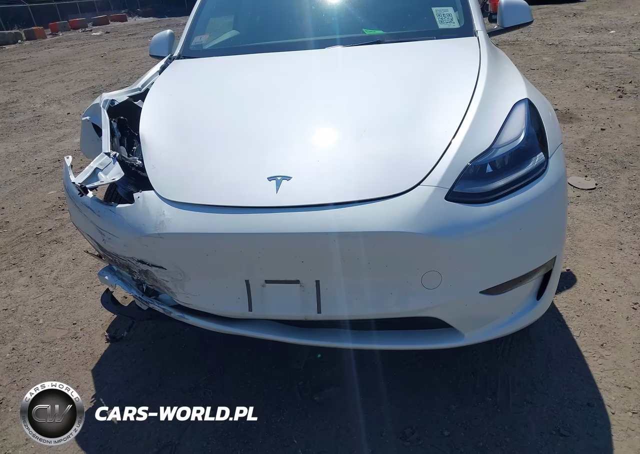 2024 Tesla Model Y Long Range Dual Motor All-Wheel Drive VIN:7SAYGAEE1RF204462 - 12