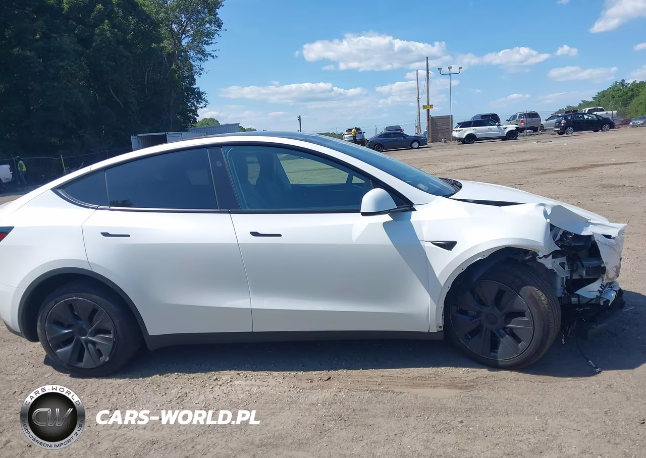 2024 Tesla Model Y Long Range Dual Motor All-Wheel Drive VIN:7SAYGAEE1RF204462 - 13