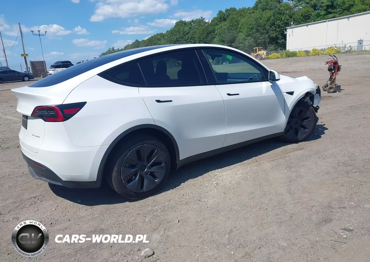 2024 Tesla Model Y Long Range Dual Motor All-Wheel Drive VIN:7SAYGAEE1RF204462 - 4