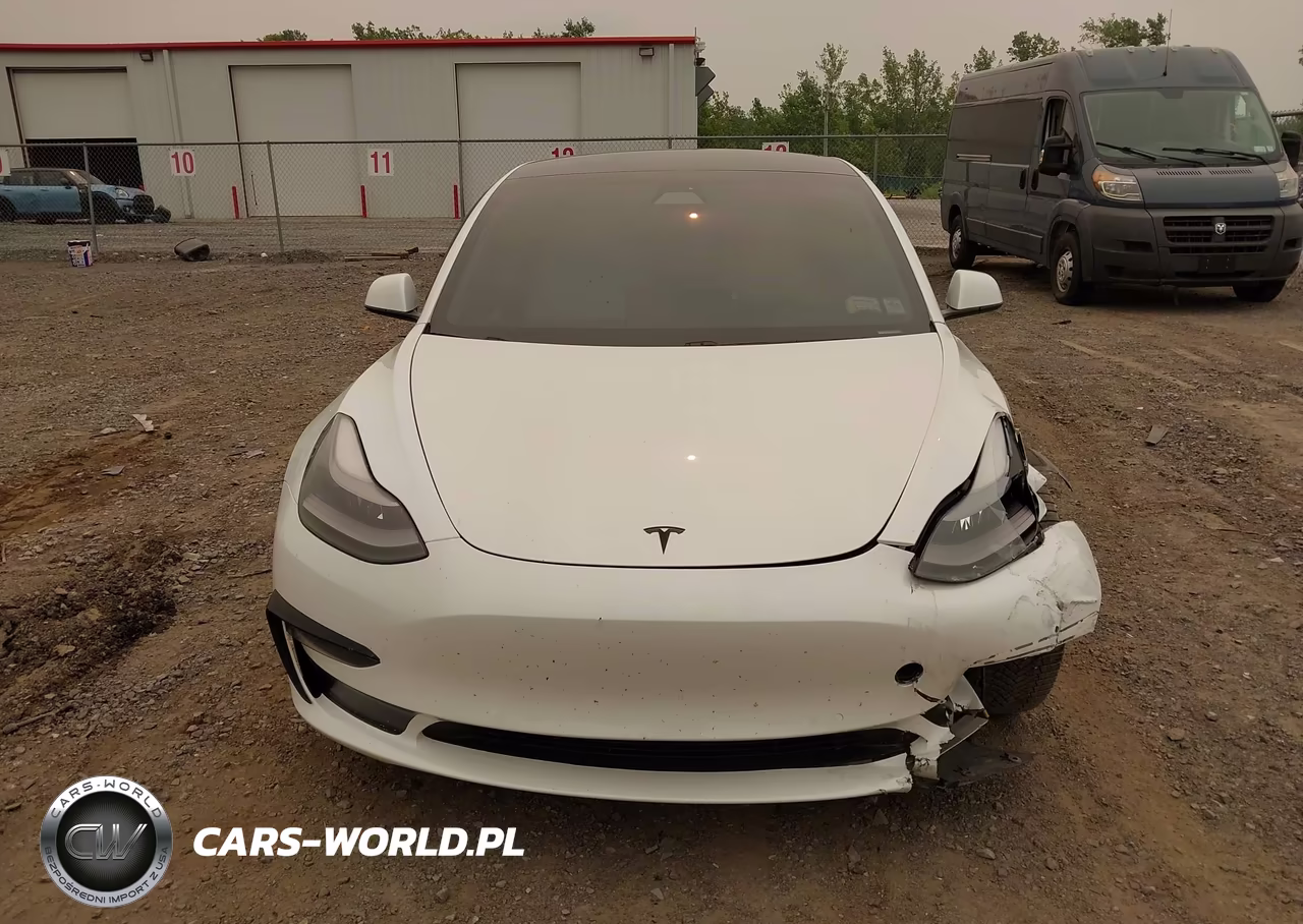 2021 Tesla Model 3 Long Range Dual Motor All-Wheel Drive VIN:5YJ3E1EB1MF917969 - 11