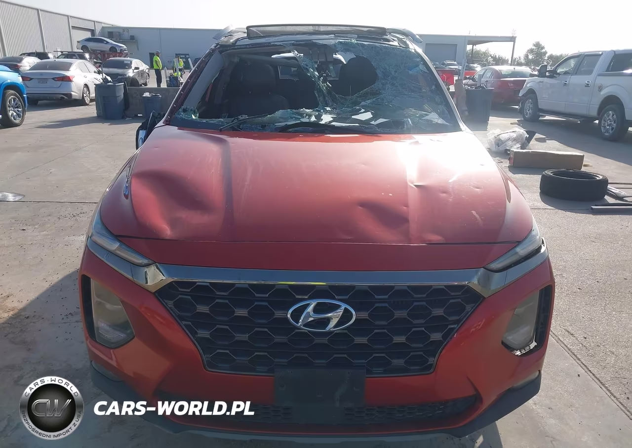 2019 Hyundai Santa Fe Limited 2.0T VIN:5NMS53AA8KH075227 - 6