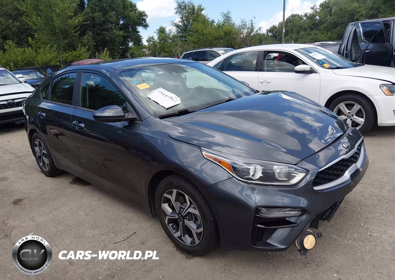 2019 Kia Forte Lxs