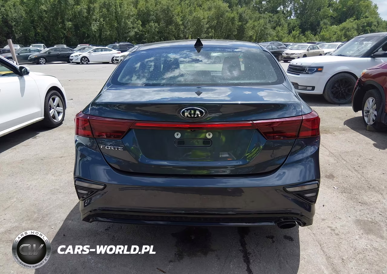 2019 Kia Forte Lxs VIN:3KPF24AD5KE106175 - 17
