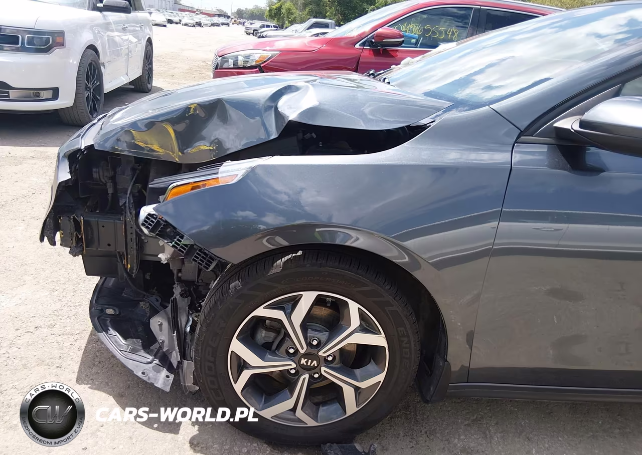2019 Kia Forte Lxs VIN:3KPF24AD5KE106175 - 18