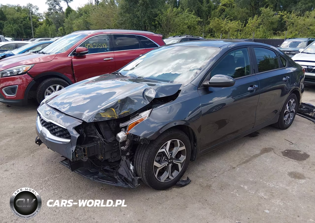 2019 Kia Forte Lxs VIN:3KPF24AD5KE106175 - 2
