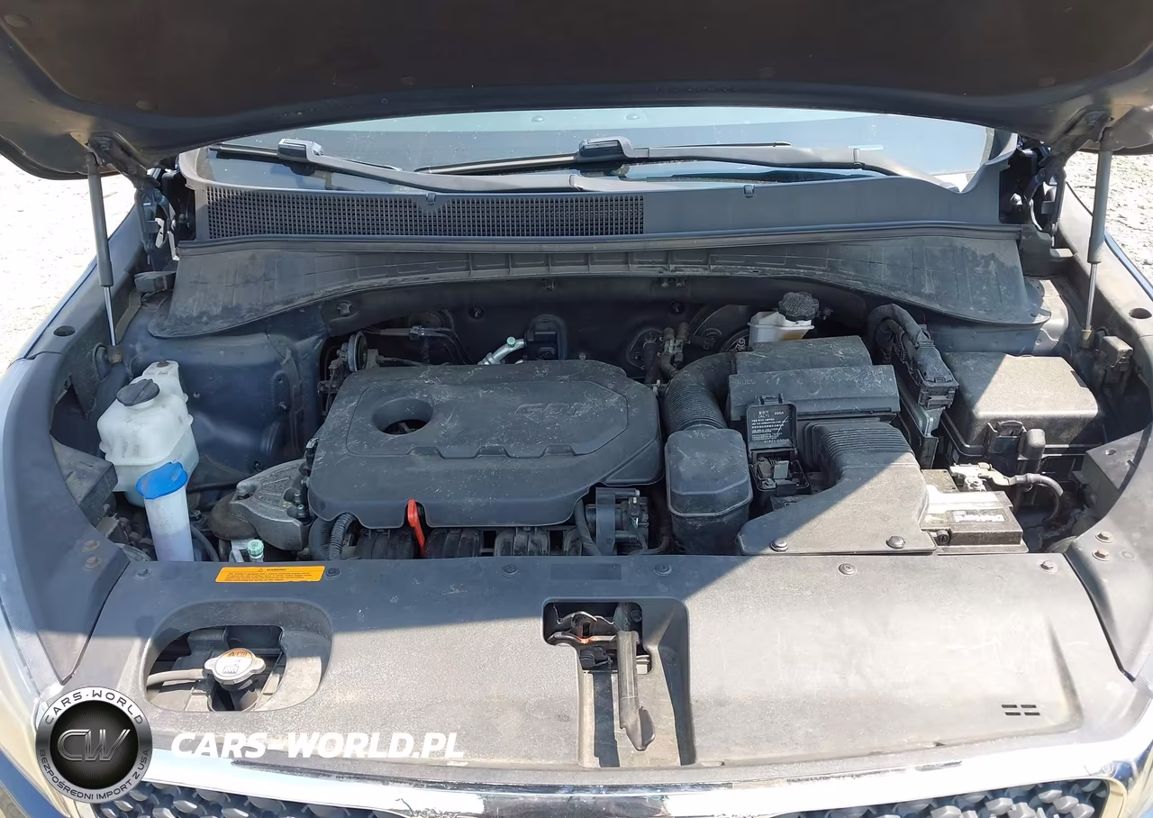 2016 Kia Sorento 2.4L Lx VIN:5XYPGDA39GG045808 - 10