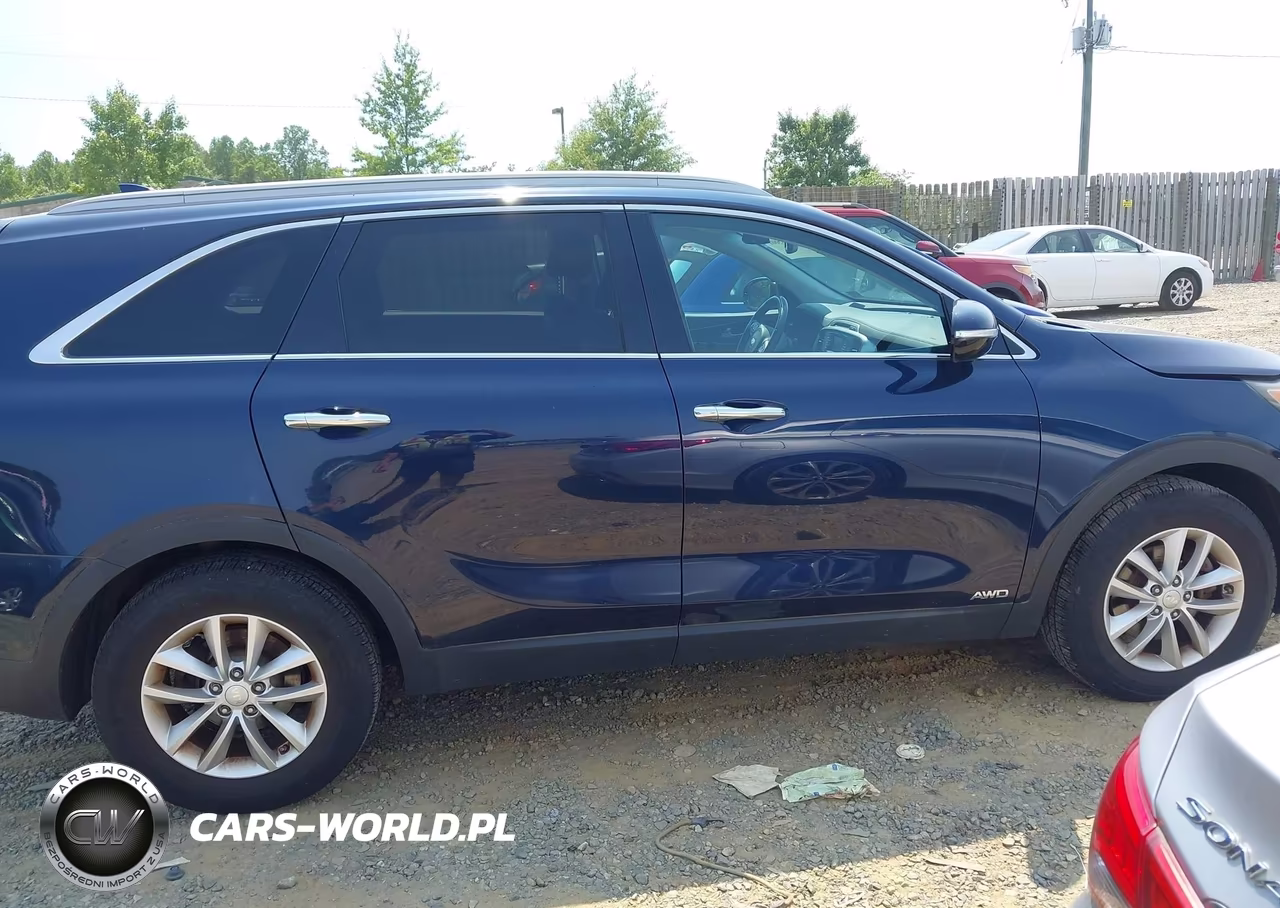 2016 Kia Sorento 2.4L Lx VIN:5XYPGDA39GG045808 - 13