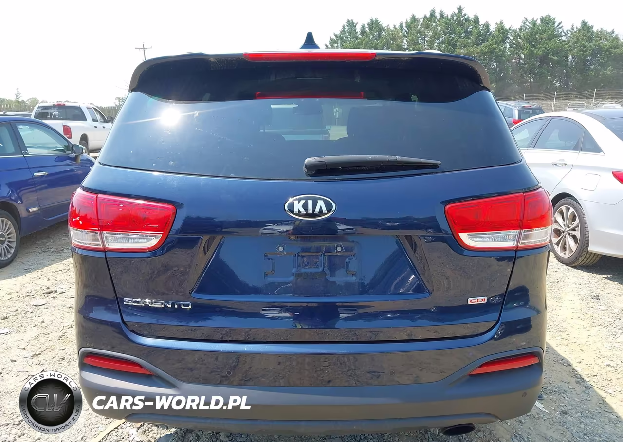 2016 Kia Sorento 2.4L Lx VIN:5XYPGDA39GG045808 - 16