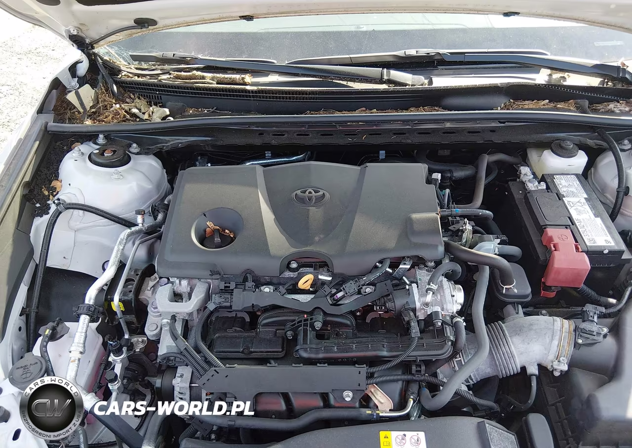 2024 Toyota Camry Le VIN:4T1C11AK1RU199691 - 10