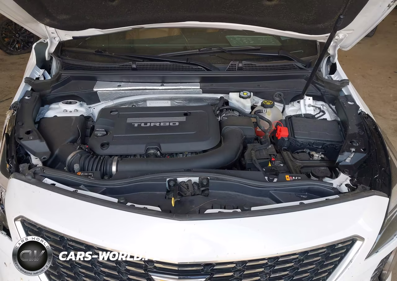 2019 Cadillac Xt4 Premium Luxury VIN:1GYFZCR4XKF229304 - 10