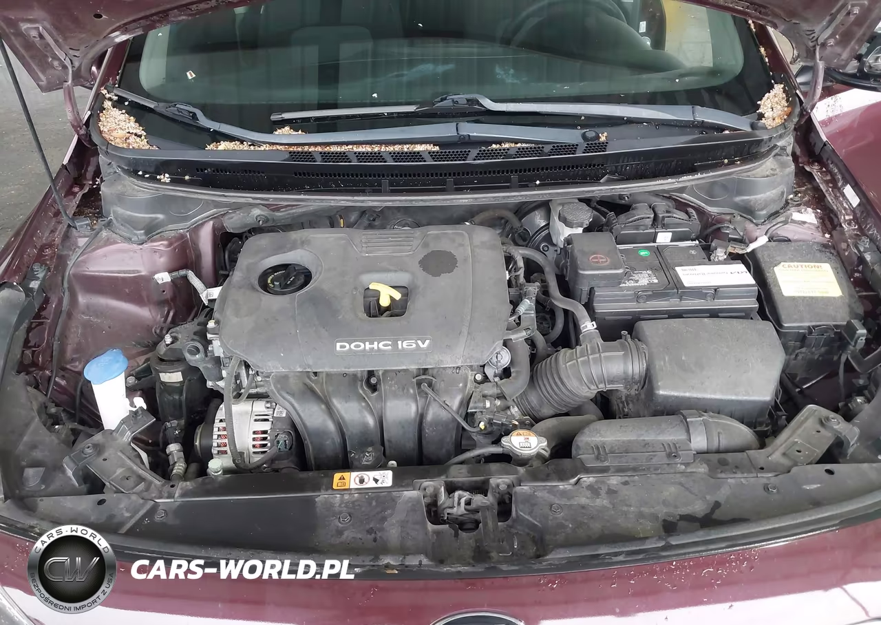 2018 Kia Forte Lx VIN:3KPFK4A76JE189110 - 10