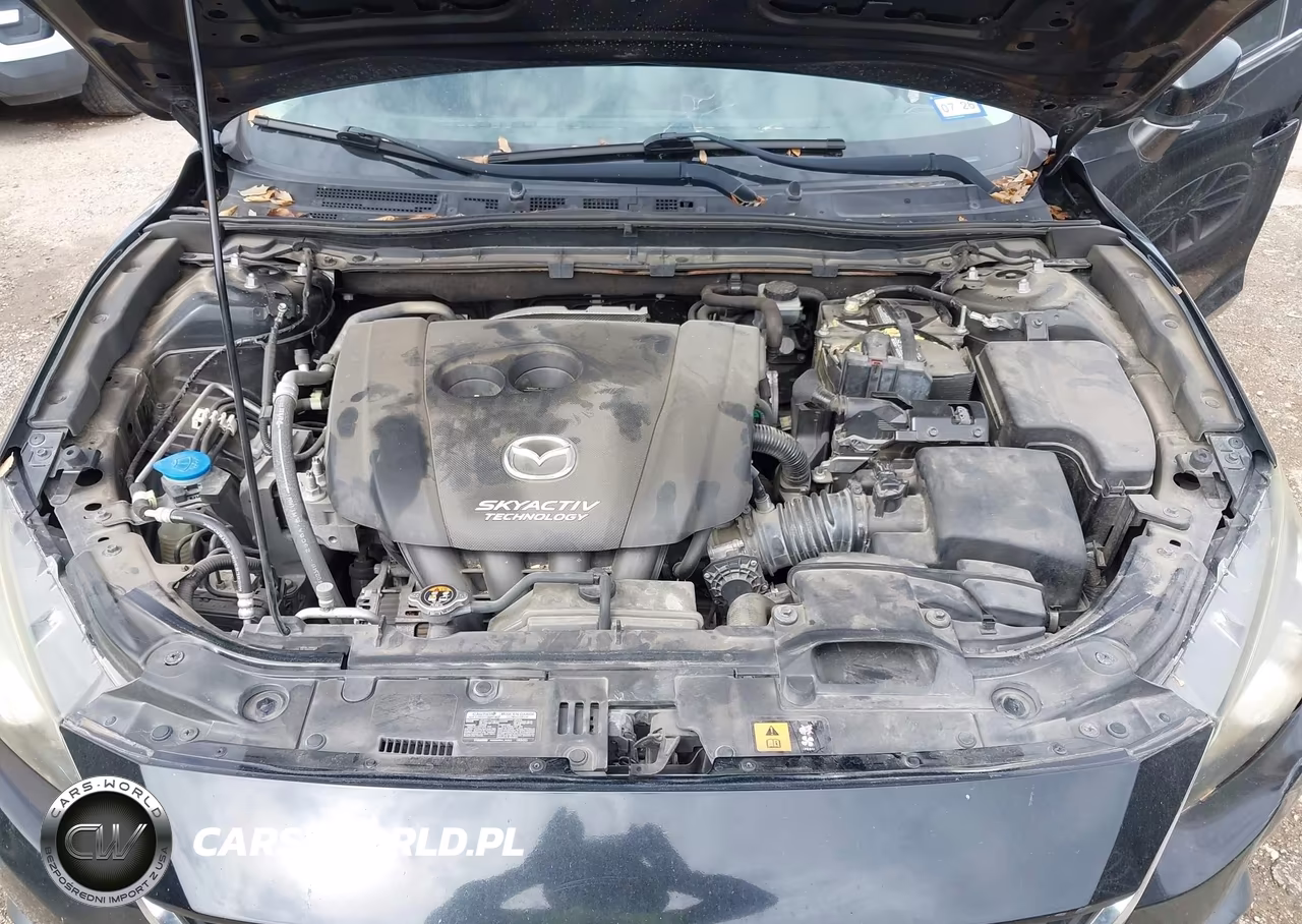 2016 Mazda Mazda3 I Sport VIN:JM1BM1U76G1305873 - 10