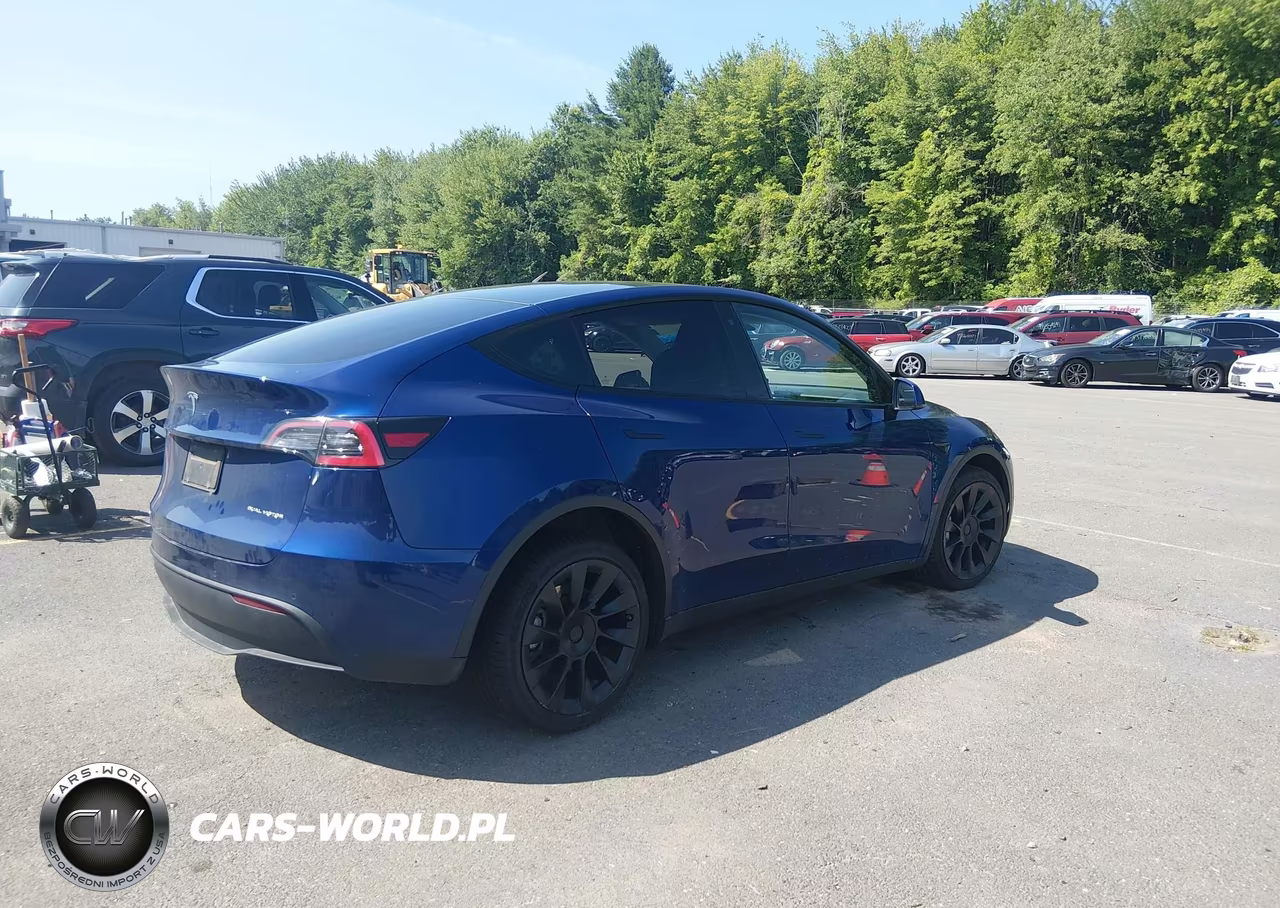 2020 Tesla Model Y Long Range Dual Motor All-Wheel Drive VIN:5YJYGDEE5LF036928 - 4