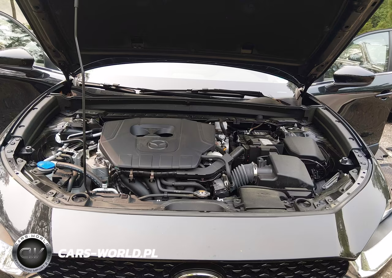2024 Mazda Cx-30 2.5 S Preferred Package VIN:3MVDMBCM9RM686130 - 10