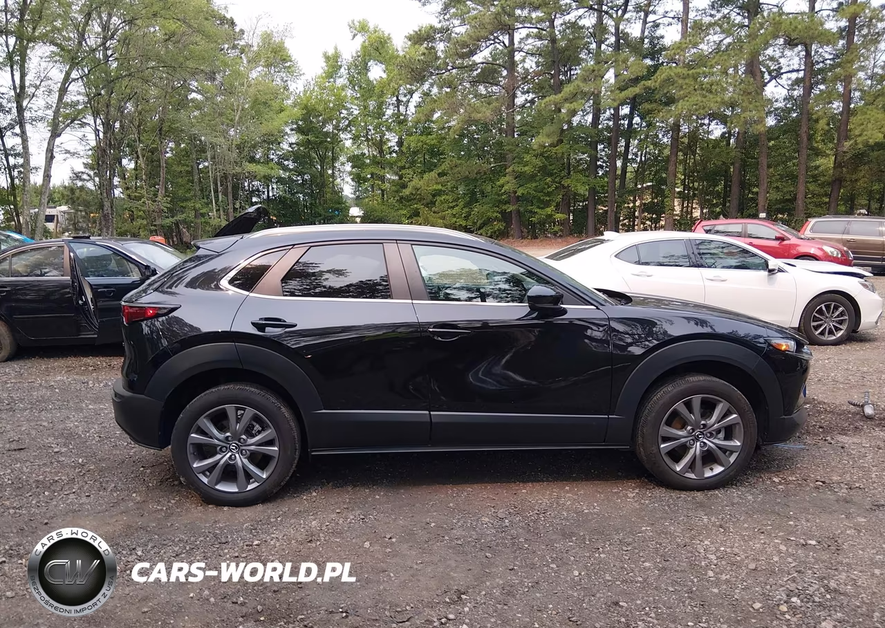 2024 Mazda Cx-30 2.5 S Preferred Package VIN:3MVDMBCM9RM686130 - 13