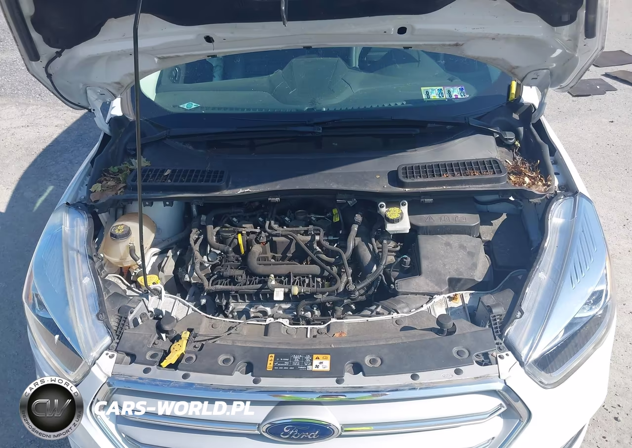 2019 Ford Escape Sel VIN:1FMCU9HD9KUA42946 - 10
