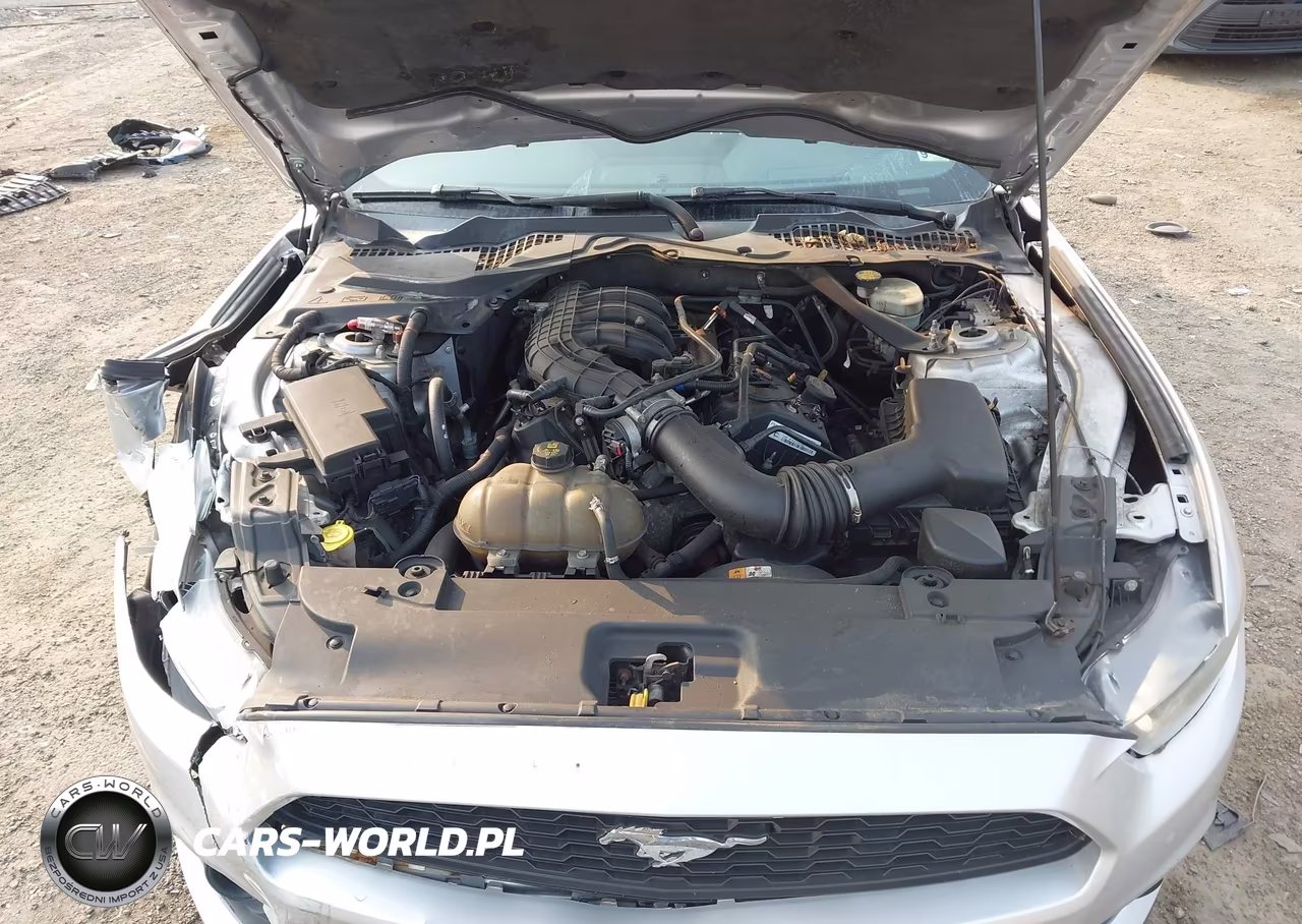 2015 Ford Mustang V6 VIN:1FATP8EM7F5332411 - 10