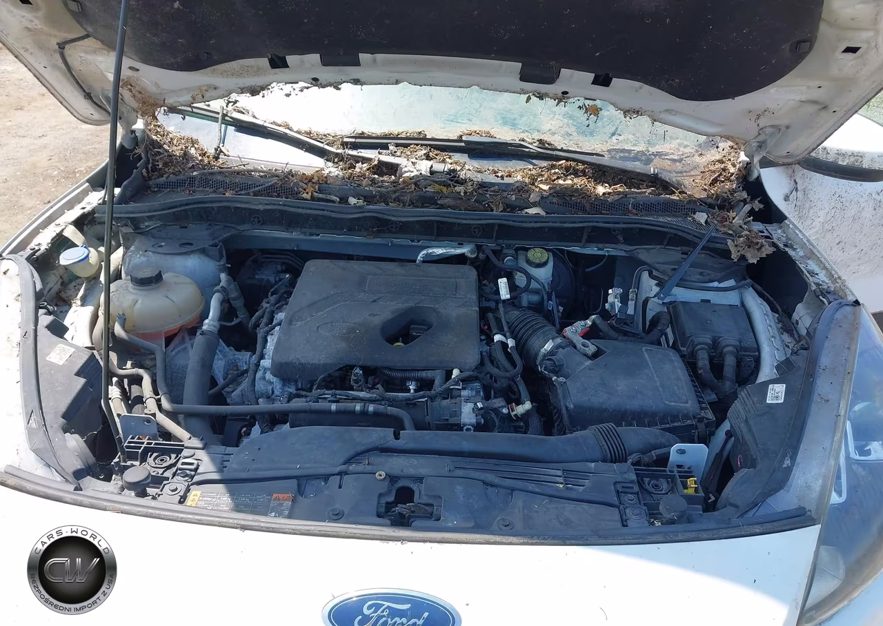 2020 Ford Escape Sel VIN:1FMCU9H69LUA52525 - 10