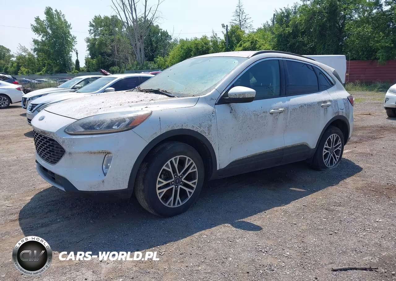 2020 Ford Escape Sel VIN:1FMCU9H69LUA52525 - 2