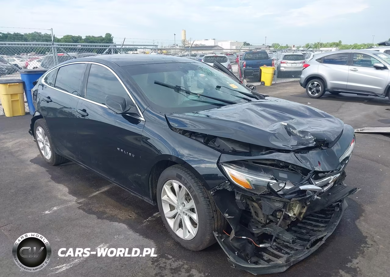 2019 CHEVROLET MALIBU LT VIN:1G1ZD5ST9KF178272 - 1