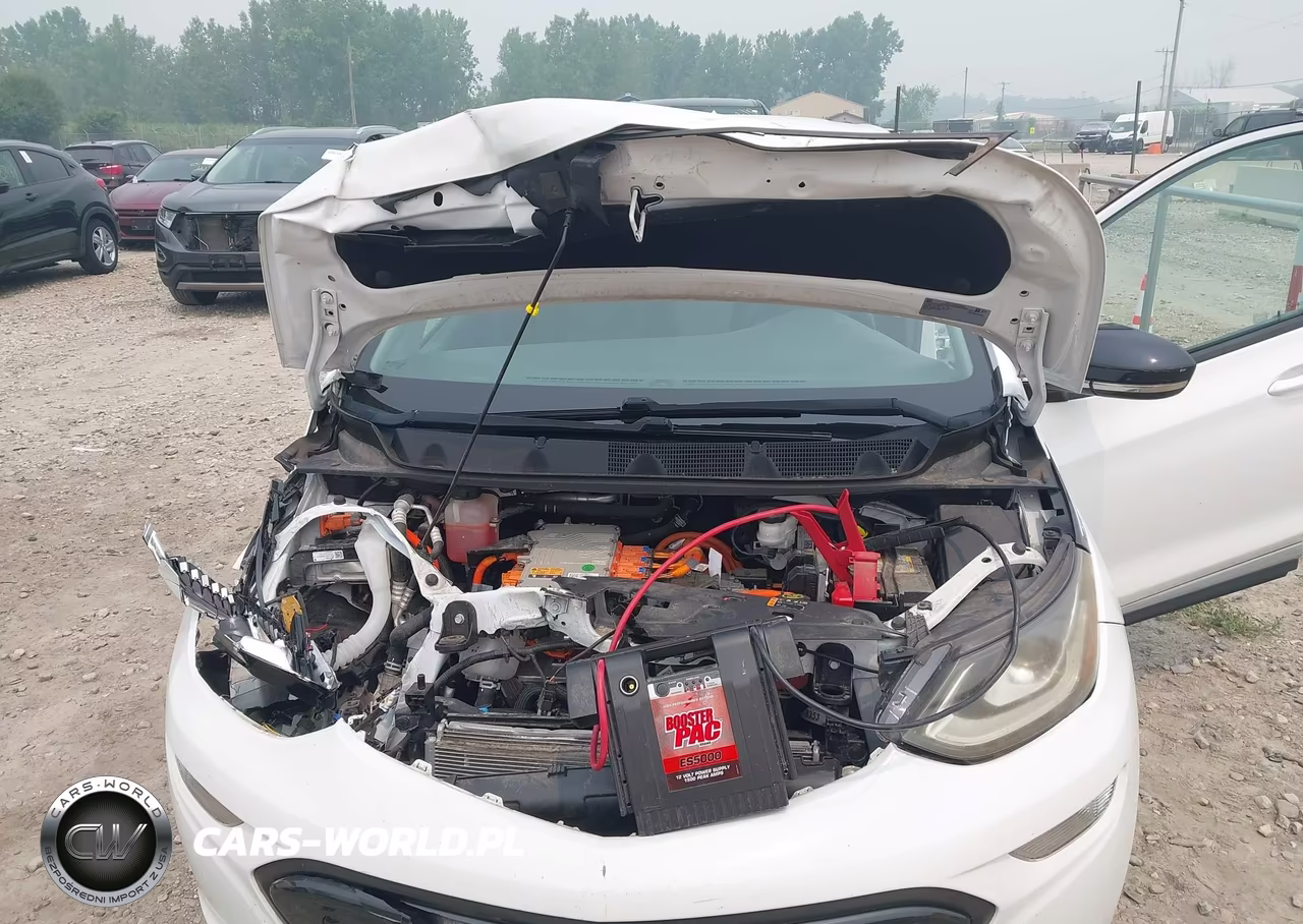 2017 Chevrolet Bolt Ev Lt VIN:1G1FW6S00H4188315 - 10