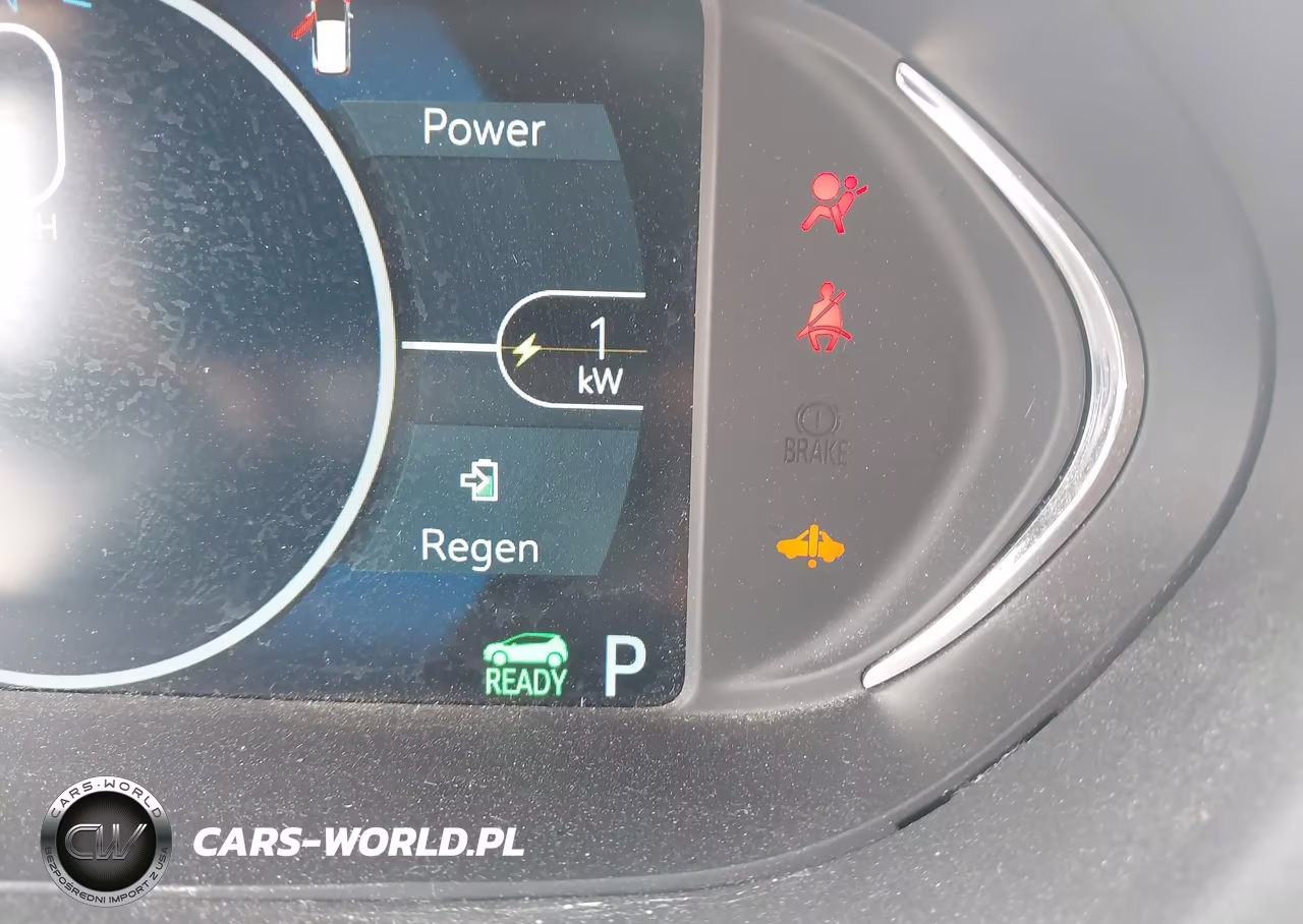 2017 Chevrolet Bolt Ev Lt VIN:1G1FW6S00H4188315 - 18