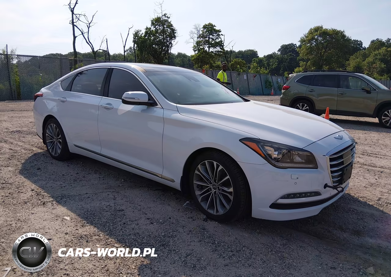 2016 Hyundai Genesis 3.8 VIN:KMHGN4JE2GU129115 - 1