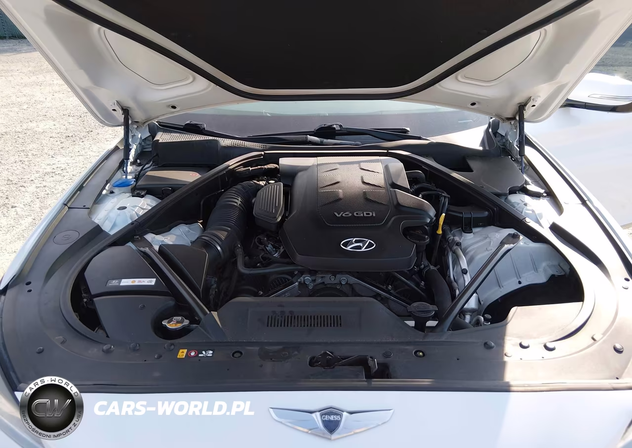 2016 Hyundai Genesis 3.8 VIN:KMHGN4JE2GU129115 - 10