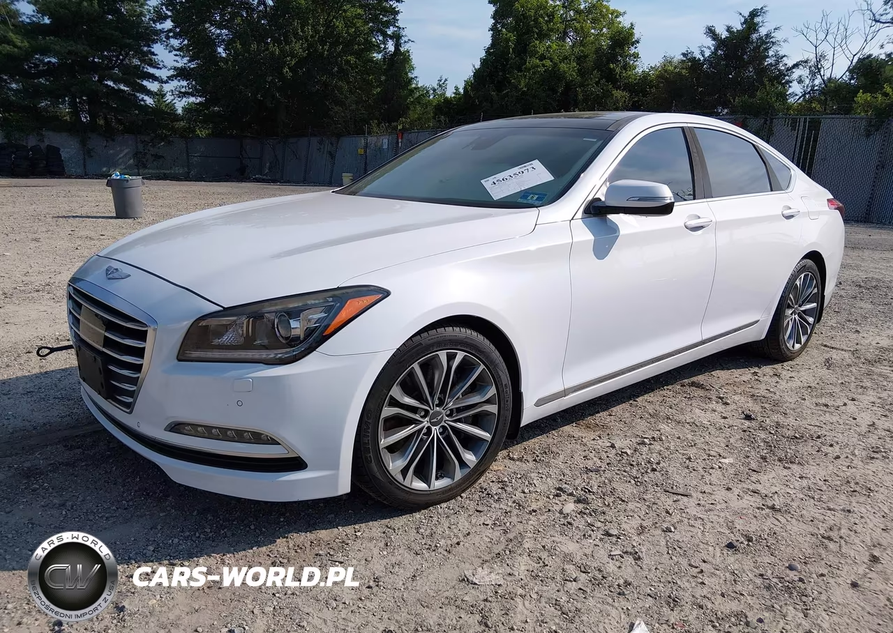 2016 Hyundai Genesis 3.8 VIN:KMHGN4JE2GU129115 - 2