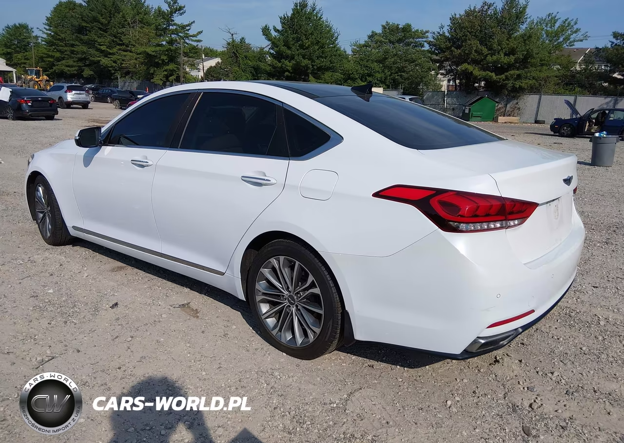 2016 Hyundai Genesis 3.8 VIN:KMHGN4JE2GU129115 - 3