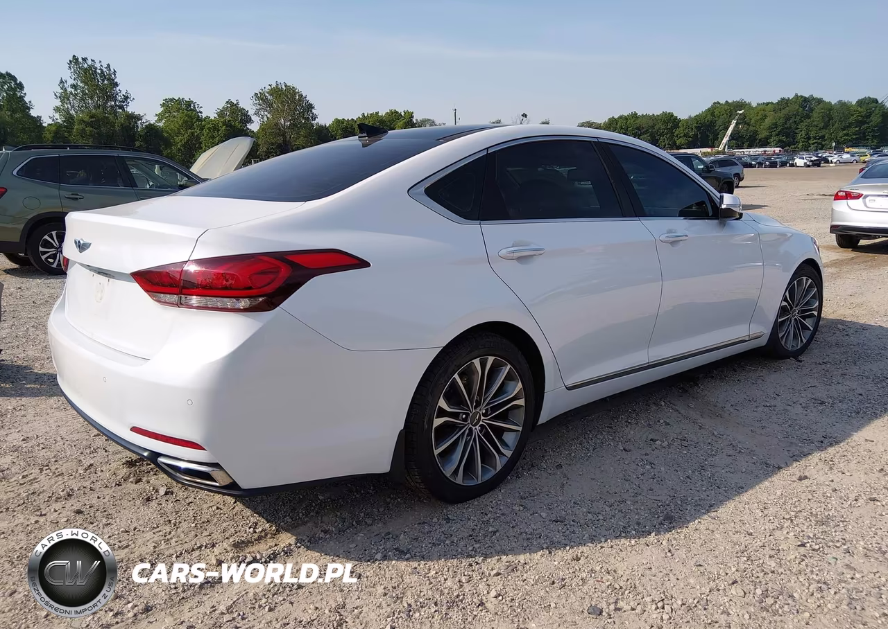 2016 Hyundai Genesis 3.8 VIN:KMHGN4JE2GU129115 - 4