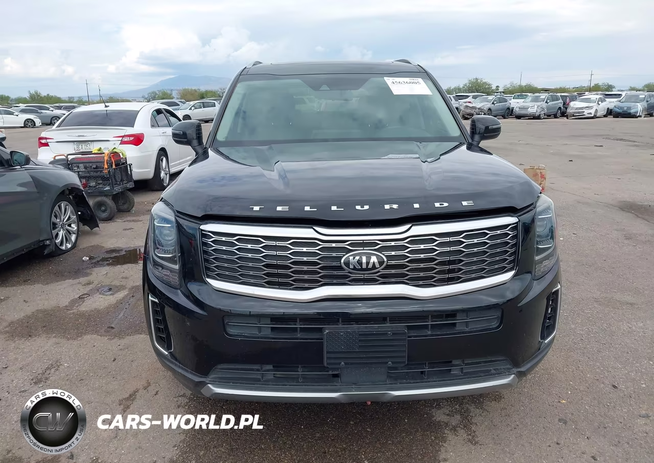2021 Kia Telluride S VIN:5XYP6DHC1MG097518 - 12