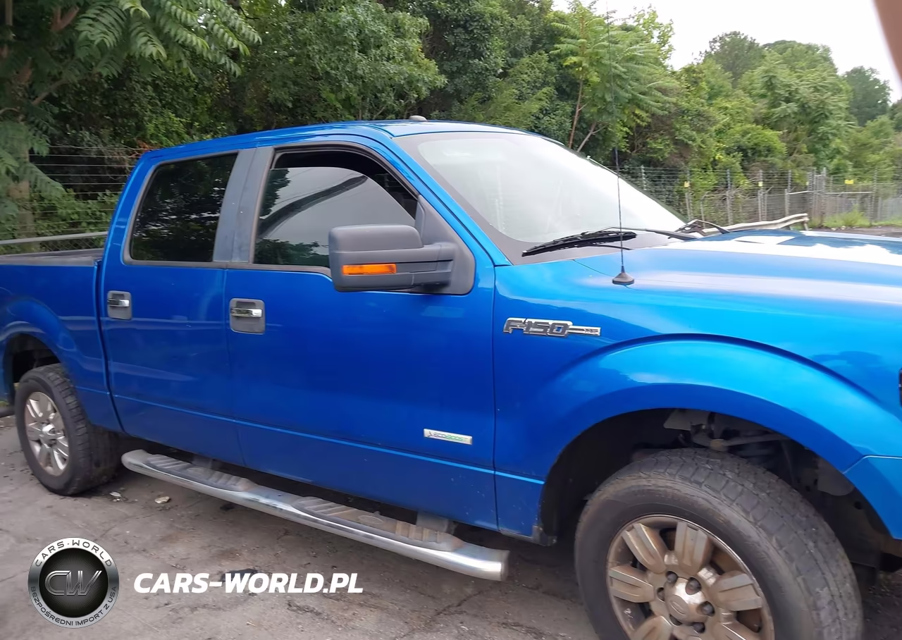 2011 Ford F-150 Xlt VIN:1FTFW1CTXBFB28248 - 13