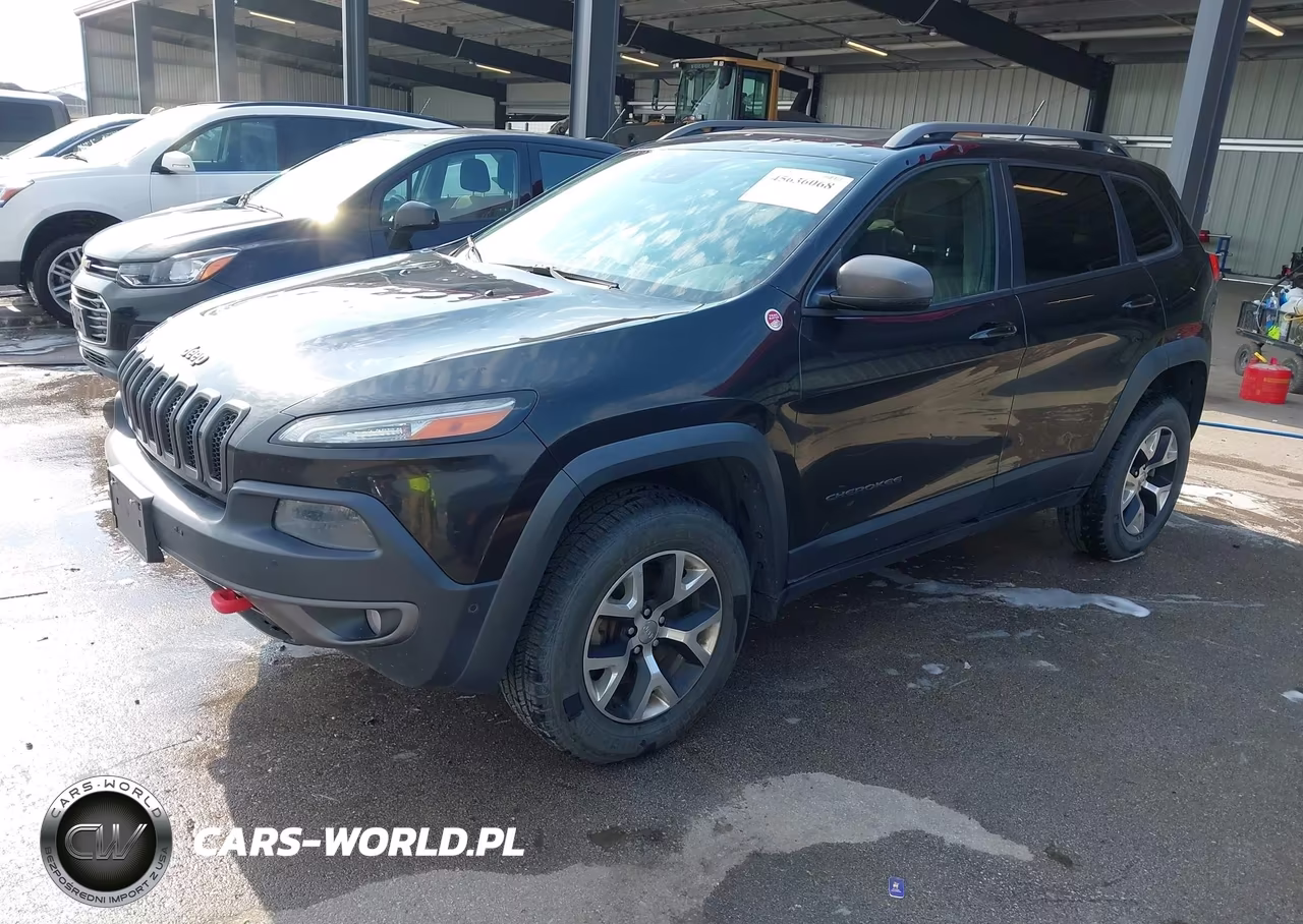 2014 Jeep Cherokee Trailhawk VIN:1C4PJMBS2EW231438 - 2