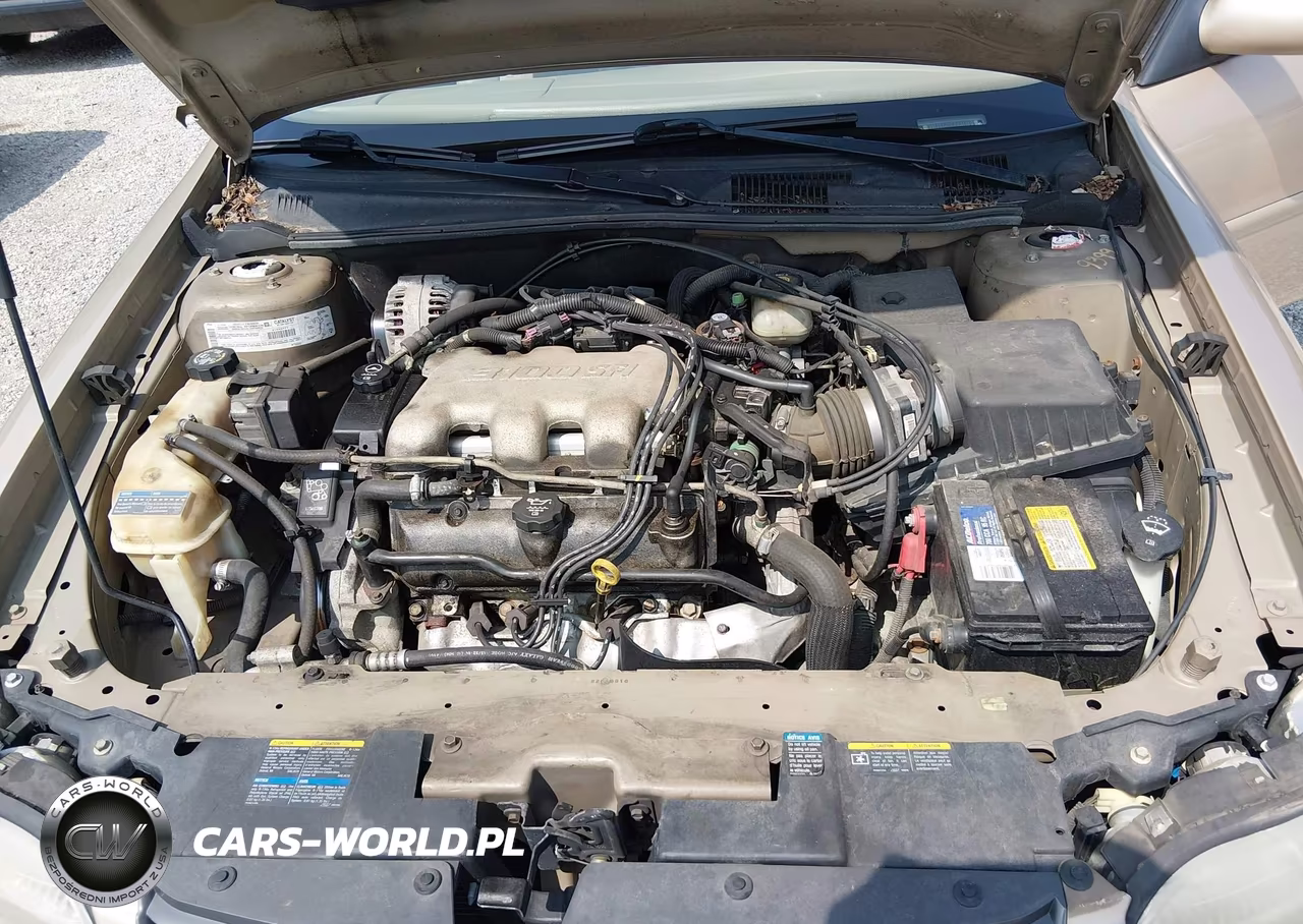 2003 Chevrolet Malibu Ls VIN:1G1NE52J03M614983 - 10