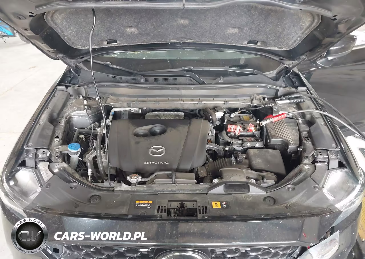 2025 Mazda Cx-5 2.5 S Preferred VIN:JM3KFBCL3S0600112 - 10