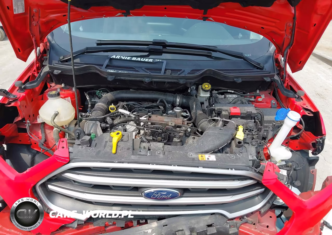2019 Ford Ecosport Se VIN:MAJ3S2GE5KC296211 - 10