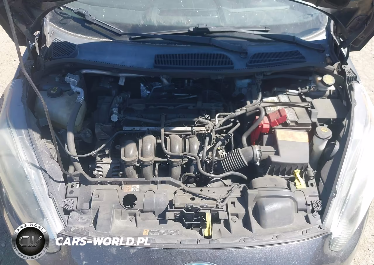 2015 Ford Fiesta Se VIN:3FADP4EJ4FM225197 - 10