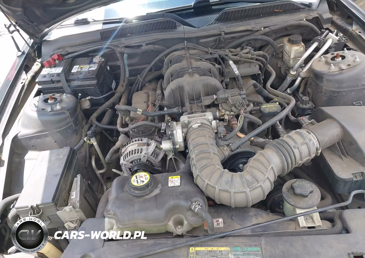 2009 Ford Mustang V6-V6 Premium VIN:1ZVHT80N295127043 - 10