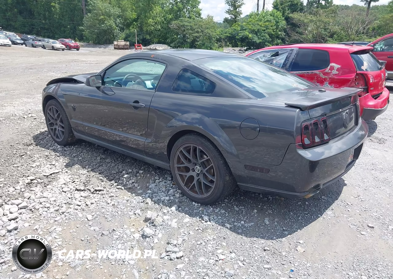 2009 Ford Mustang V6-V6 Premium VIN:1ZVHT80N295127043 - 3