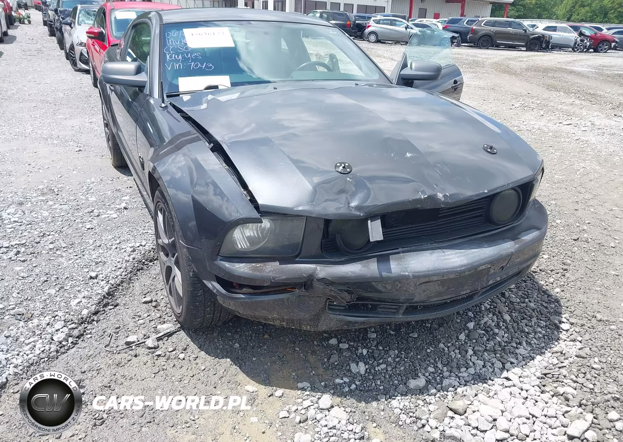 2009 Ford Mustang V6-V6 Premium VIN:1ZVHT80N295127043 - 6