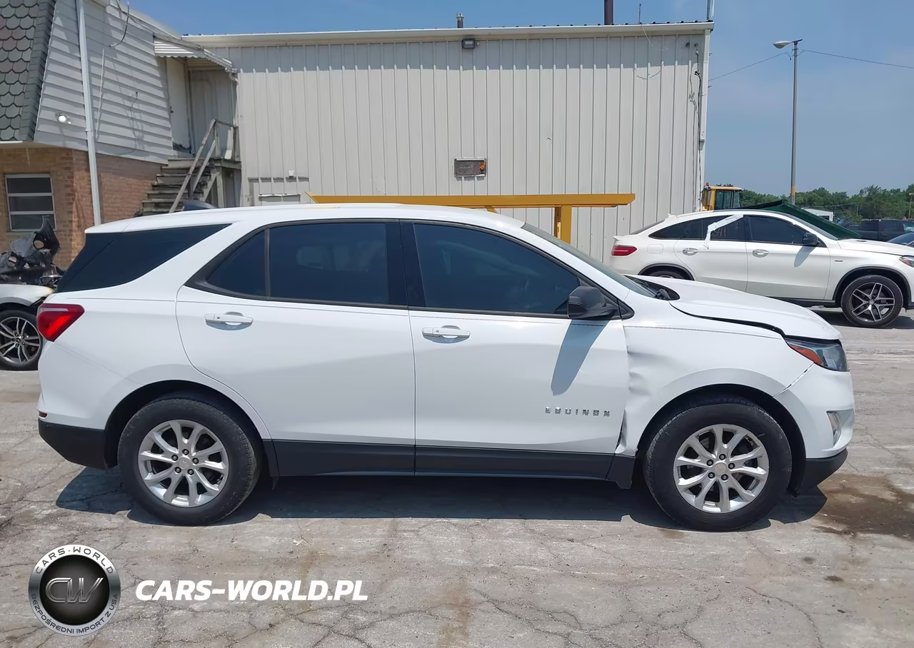 2019 Chevrolet Equinox Ls VIN:2GNAXHEVXK6197828 - 13