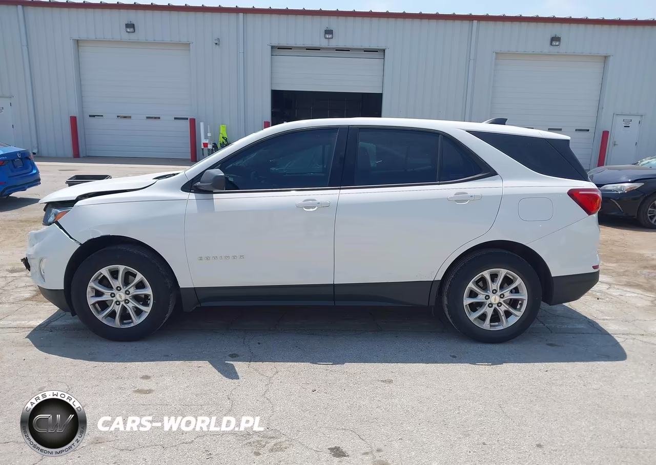2019 Chevrolet Equinox Ls VIN:2GNAXHEVXK6197828 - 14