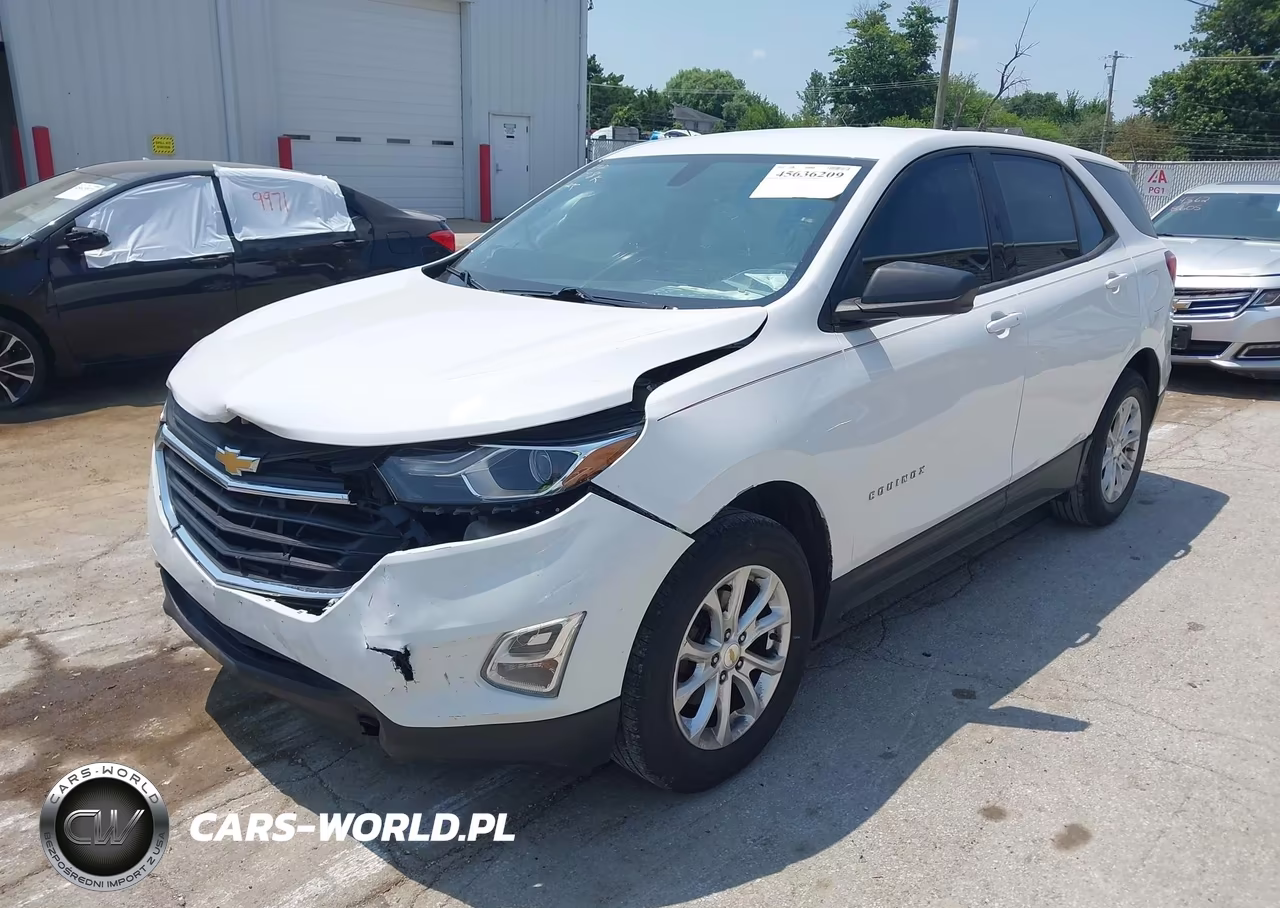 2019 Chevrolet Equinox Ls VIN:2GNAXHEVXK6197828 - 2
