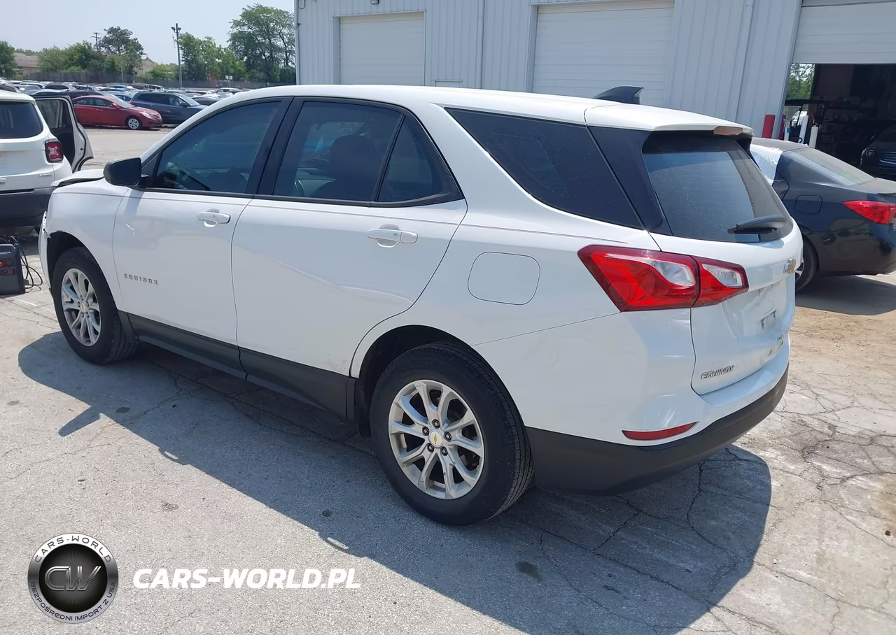 2019 Chevrolet Equinox Ls VIN:2GNAXHEVXK6197828 - 3
