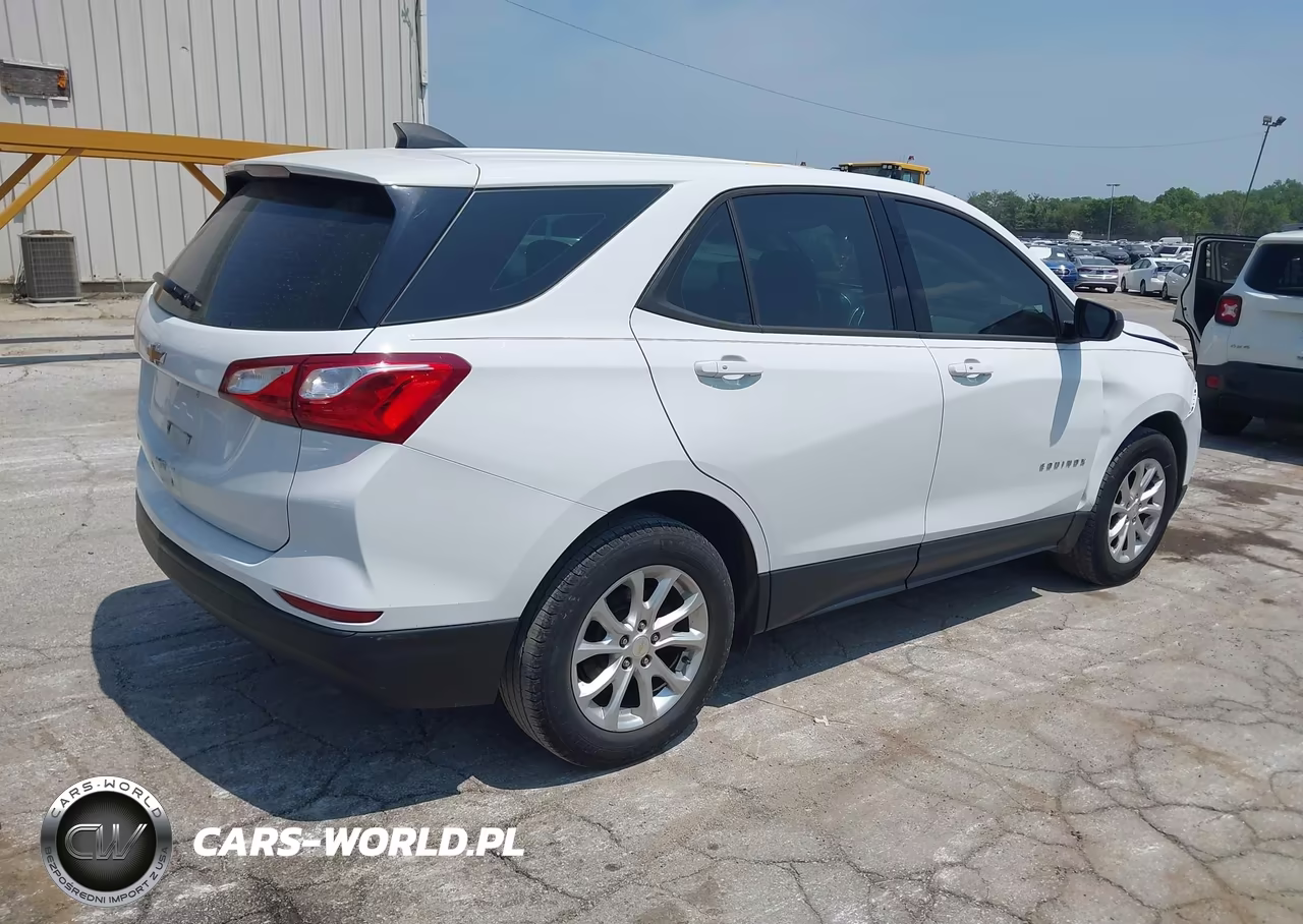 2019 Chevrolet Equinox Ls VIN:2GNAXHEVXK6197828 - 4