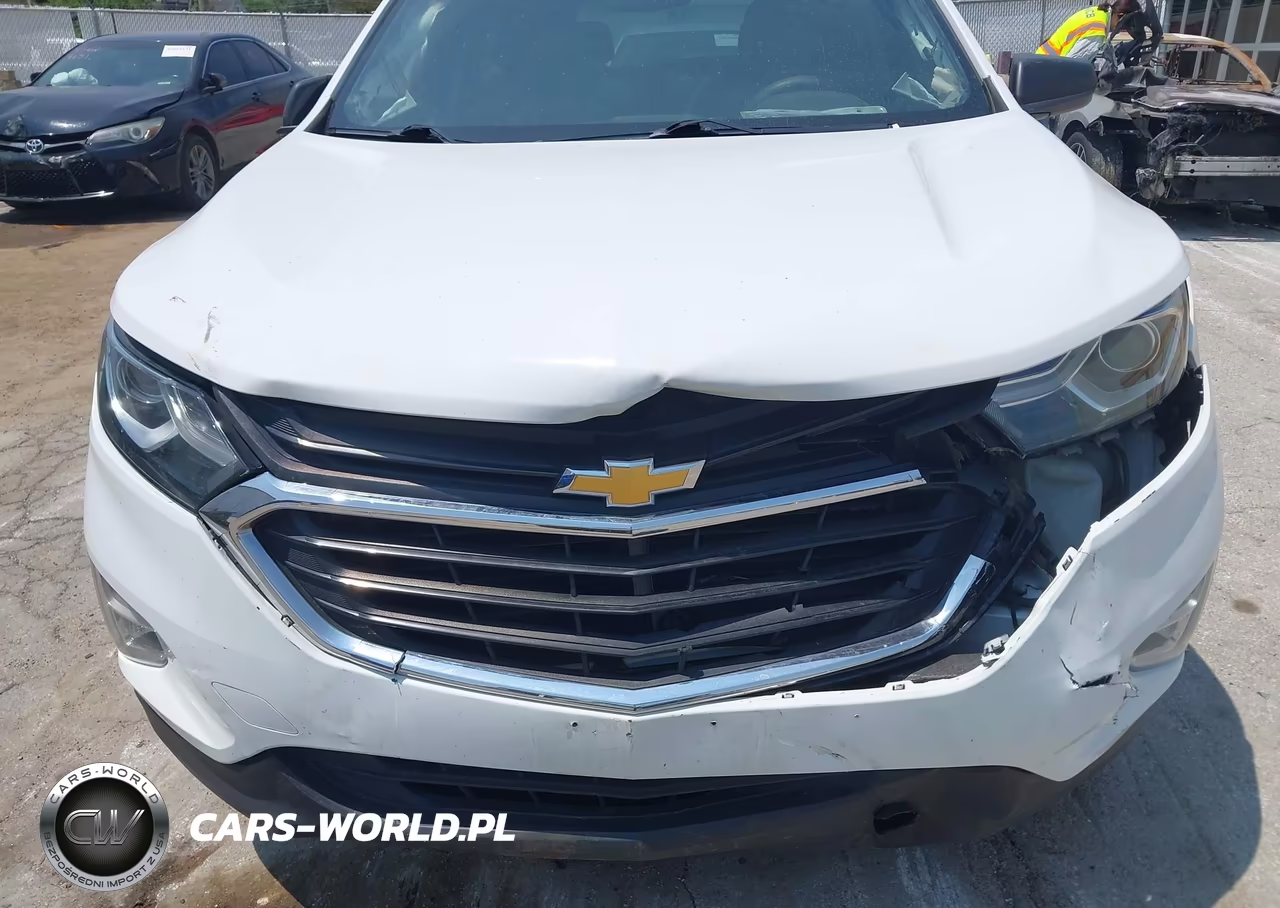 2019 Chevrolet Equinox Ls VIN:2GNAXHEVXK6197828 - 6